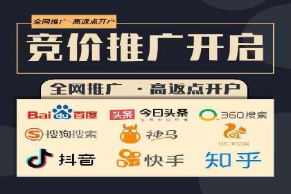 百度竞价排名案例分析：提升网站流量与转化率